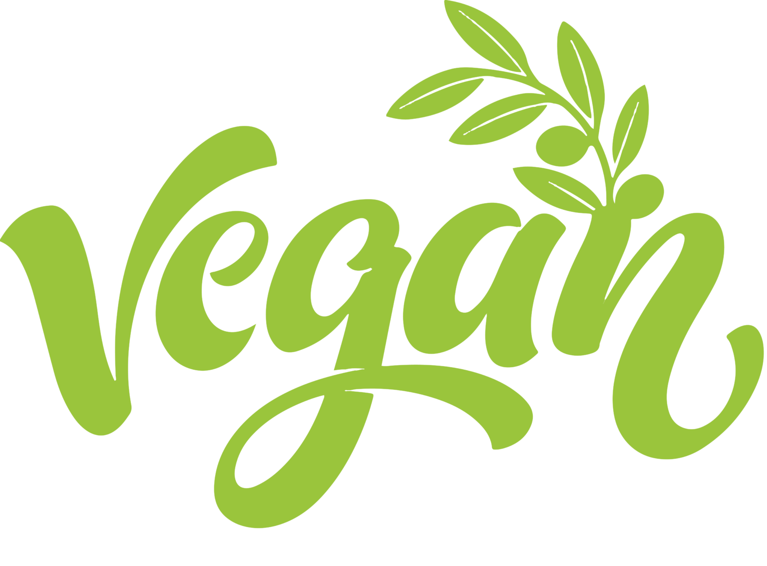 Vegan in Palestine